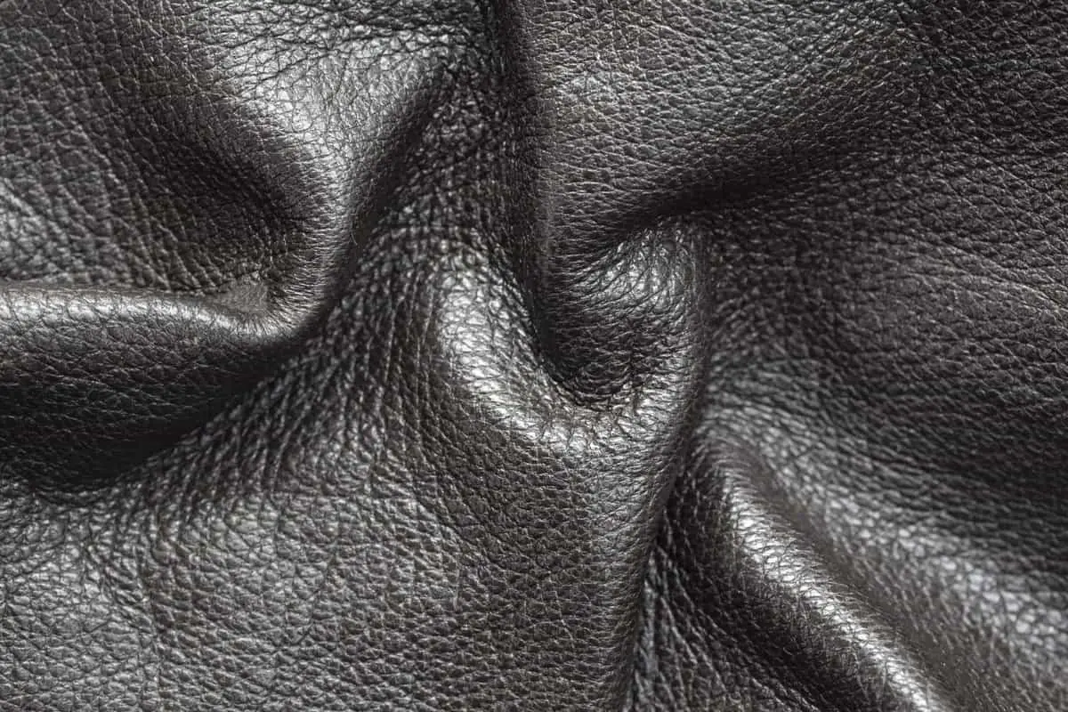 leather jacket wrinkles