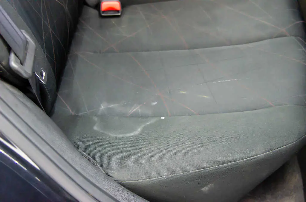 4 Powerful Ways How to Clean Sunscreen Off Leather Car Seats