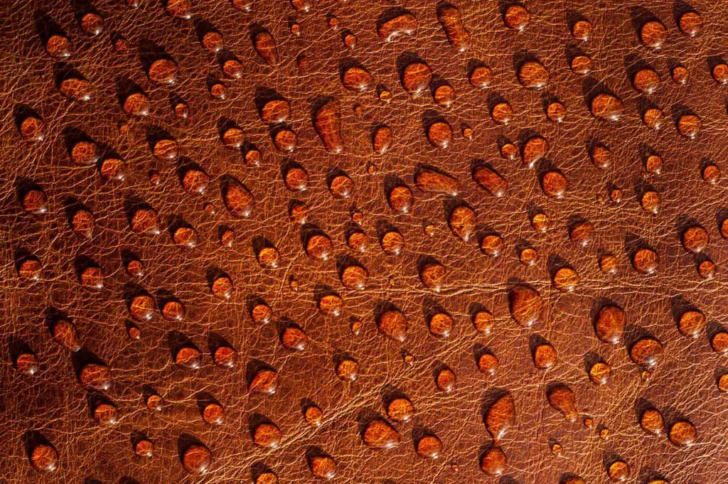 water on leather texture